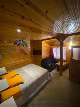 Dağ Evi, Dere ve Orman Manzaralı