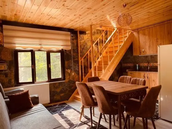 Orman Manzaralı Dubleks Daire