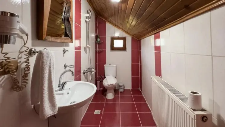 2+1 Standard Dağ Evi