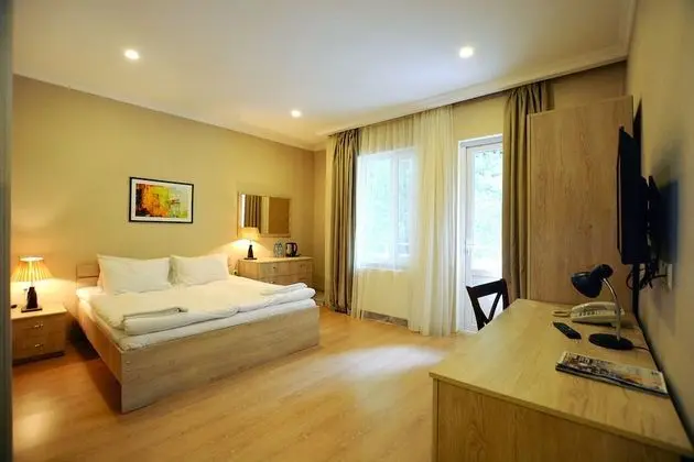 Standard Tek Büyük veya İki Ayrı Yataklı Oda, Tepe Manzaralı