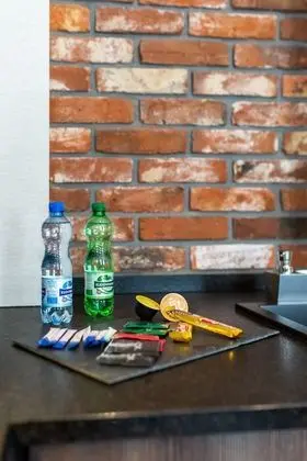 Standard Stüdyo Süit, 1 Büyük (Queen) Boy Yatak ve Çekyat, Şehir Manzaralı