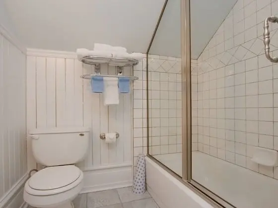 Standard Tek Büyük Yataklı Oda, Banyolu/Duşlu (The Blue Hills Suite)