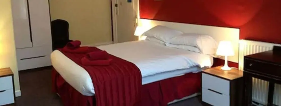 Standard Tek Büyük Yataklı Oda, 1 Çift Kişilik Yatak, Banyolu/Duşlu (Small)
