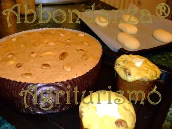 Oda, 1 Yatak Odası, Engellilere Uygun