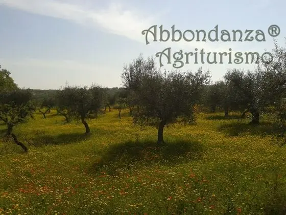 Oda, 1 Yatak Odası, Engellilere Uygun