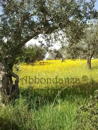 Oda, 1 Yatak Odası, Engellilere Uygun