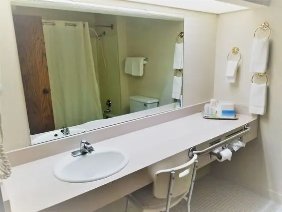 Deluxe Tek Büyük Yataklı Oda, 2 Çift Kişilik Yatak, Sigara İçilmez, Buzdolabı ve Mikrodalga