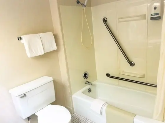 Deluxe Tek Büyük Yataklı Oda, 2 Çift Kişilik Yatak, Sigara İçilmez, Buzdolabı ve Mikrodalga