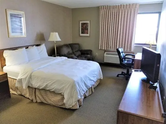 Deluxe Tek Kişilik Oda, 1 Büyük (Queen) Boy Yatak, Engellilere Uygun, Buzdolabı ve Mikrodalga