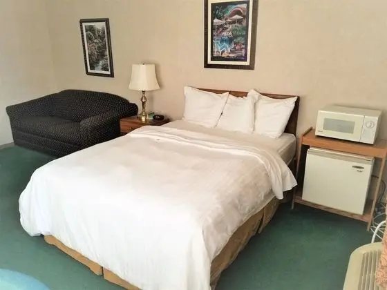 Deluxe Tek Kişilik Oda, 1 Büyük (Queen) Boy Yatak, Engellilere Uygun, Buzdolabı ve Mikrodalga