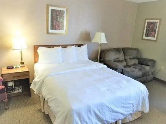 Deluxe Tek Kişilik Oda, 1 Büyük (Queen) Boy Yatak, Engellilere Uygun, Buzdolabı ve Mikrodalga