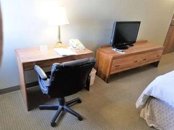 Deluxe Tek Kişilik Oda, 1 Büyük (Queen) Boy Yatak, Engellilere Uygun, Buzdolabı ve Mikrodalga