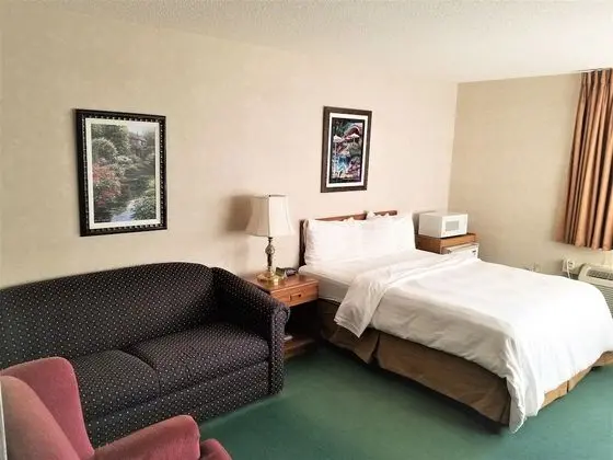 Deluxe Tek Kişilik Oda, 1 Büyük (Queen) Boy Yatak, Engellilere Uygun, Buzdolabı ve Mikrodalga