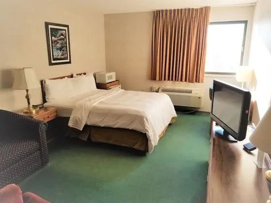 Deluxe Tek Kişilik Oda, 1 Büyük (Queen) Boy Yatak, Engellilere Uygun, Buzdolabı ve Mikrodalga