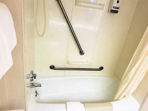 Deluxe Tek Kişilik Oda, 1 Büyük (Queen) Boy Yatak, Engellilere Uygun, Buzdolabı ve Mikrodalga