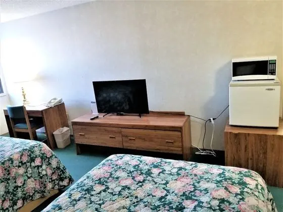 Standard Tek Büyük Yataklı Oda, 2 Çift Kişilik Yatak, Sigara İçilmez