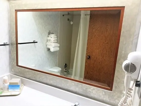 Standard Tek Büyük Yataklı Oda, 2 Çift Kişilik Yatak, Sigara İçilmez