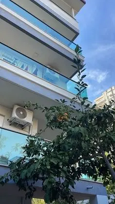 Economy Apartment