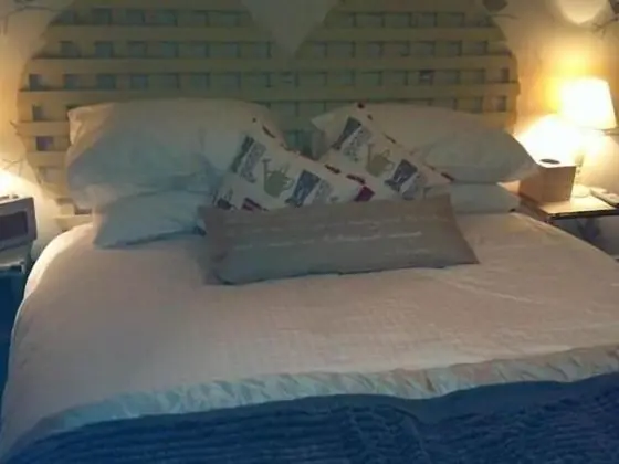 Tek Büyük Yataklı Oda, Banyolu/Duşlu (Callow Room)