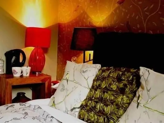 Tek Büyük Yataklı Oda, Banyolu/Duşlu (Feathers Room)