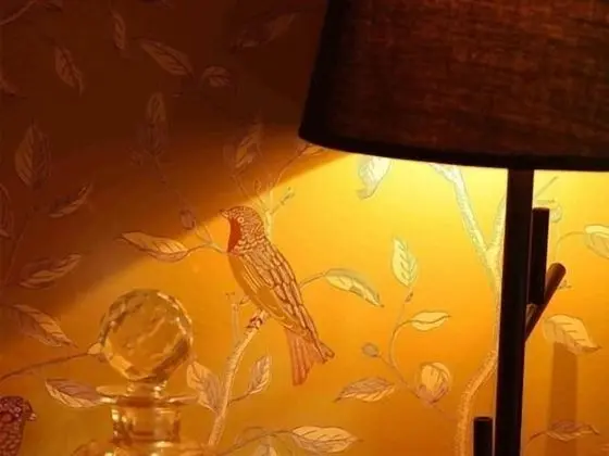 Tek Büyük Yataklı Oda, Banyolu/Duşlu (Feathers Room)