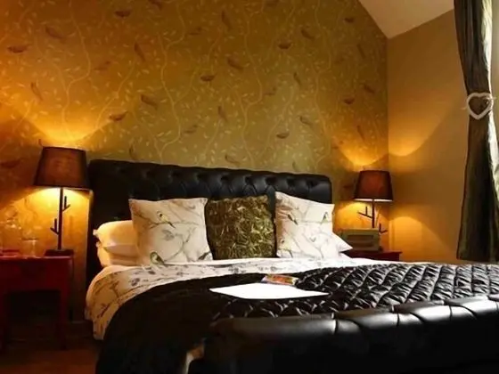 Tek Büyük Yataklı Oda, Banyolu/Duşlu (Feathers Room)