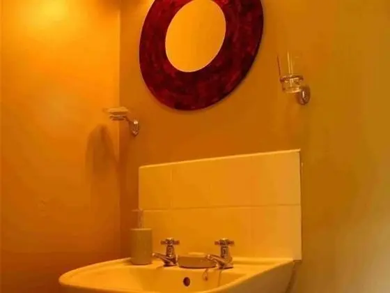 Tek Büyük Yataklı Oda, Banyolu/Duşlu (Feathers Room)