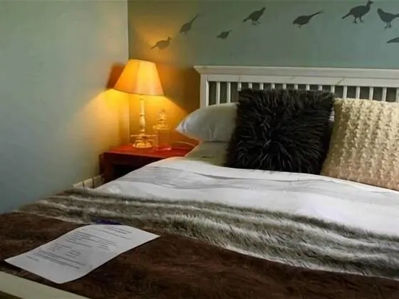 Tek Büyük Yataklı Oda, Banyolu/Duşlu (Hunt Room)