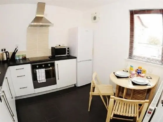 Executive Apart Daire, Banyolu/Duşlu (1 Bedroom Apartment)