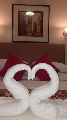 Deluxe Tek Kişilik Oda