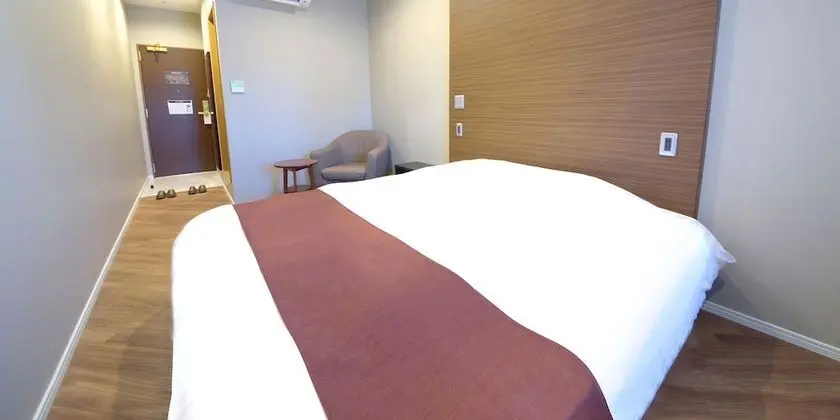 Superior Tek Büyük Yataklı Oda, 1 En Büyük (King) Boy Yatak, Sigara İçilmez (19 sqm)