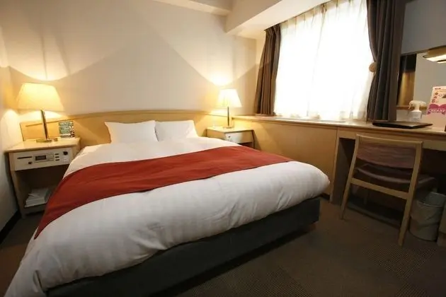 Deluxe Tek Kişilik Oda, 1 Çift Kişilik Yatak, Sigara İçilebilir