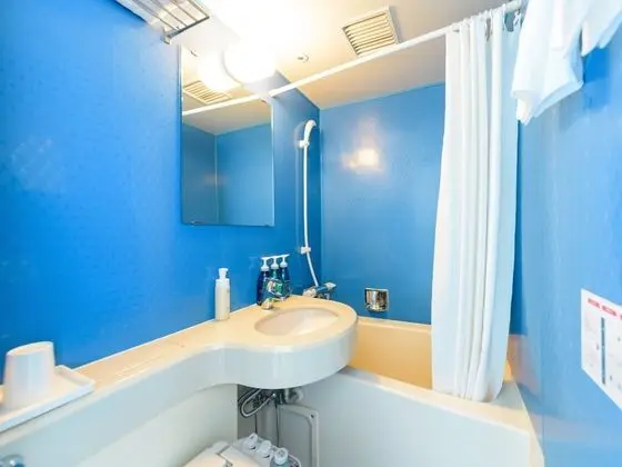 Tek Büyük Yataklı Oda, Sigara İçilebilir (Double Occupancy)