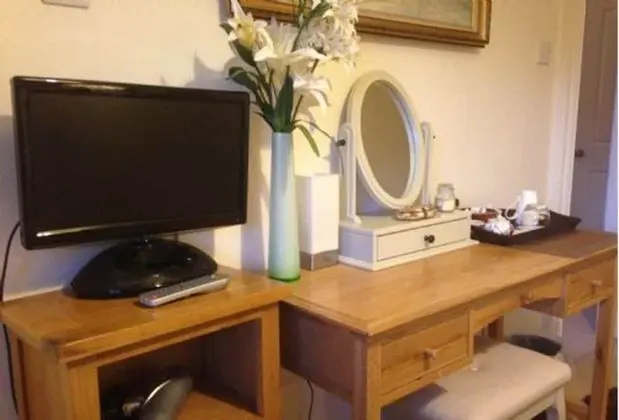 Executive Tek Büyük Yataklı Oda, 1 Çift Kişilik Yatak, Banyolu/Duşlu