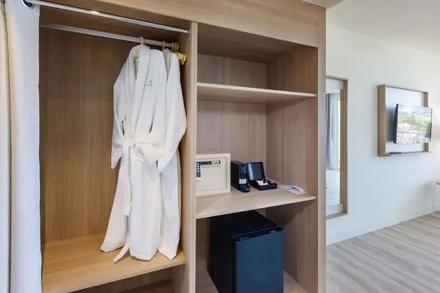 Deluxe Tek Büyük Yataklı Oda (Adults Only +18 years)