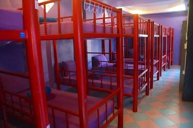 12-Bed in Mixed Dormitory