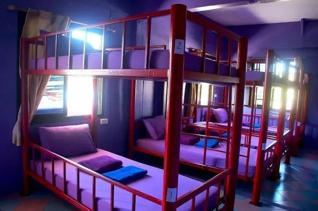 12-Bed in Mixed Dormitory