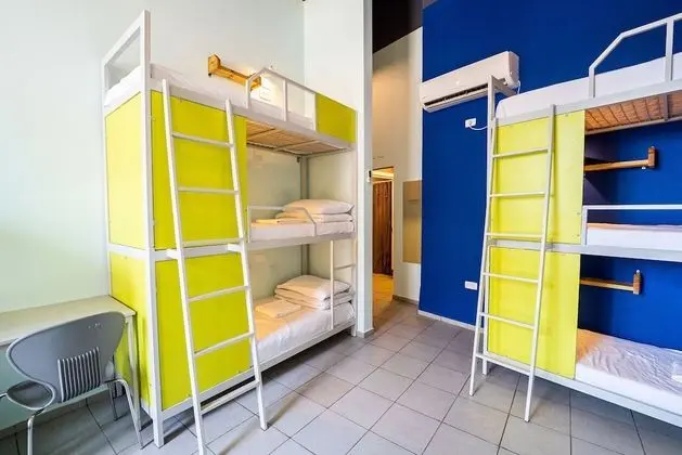Shared Dormitory (Mixed 12 Beds)