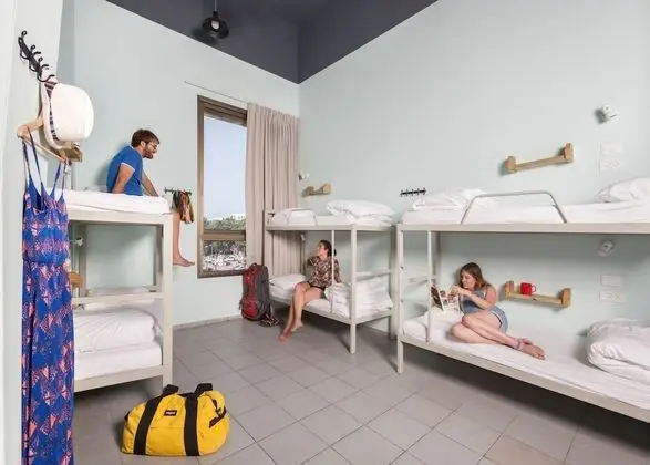 Shared Dormitory (Mixed 12 Beds)