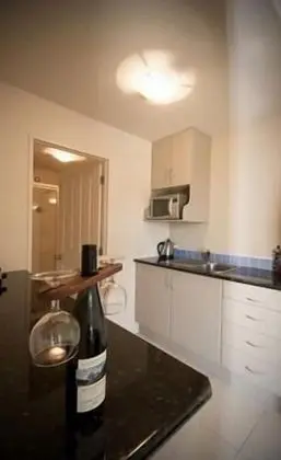 Deluxe Stüdyo Süit, Mutfak (Platinum Suite)