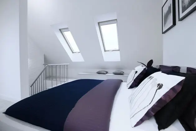 Deluxe Stüdyo Süit, 1 Çift Kişilik Yatak ve Çekyat