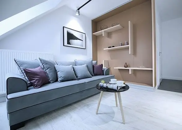 Deluxe Stüdyo Süit, 1 Çift Kişilik Yatak ve Çekyat