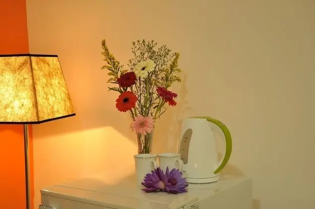 Standard Tek Büyük Yataklı Oda, 1 Büyük (Queen) Boy Yatak, Sigara İçilmez, Havuz Manzaralı