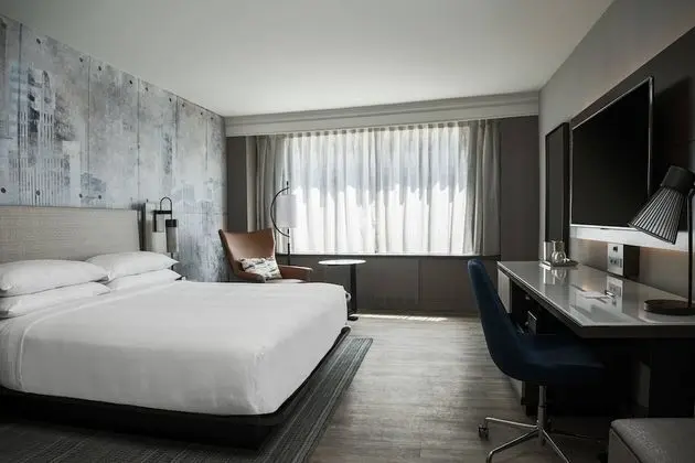 Concierge Room, Oda, 1 En Büyük (King) Boy Yatak