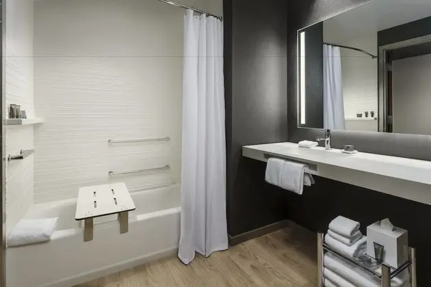 Oda, 1 En Büyük (King) Boy Yatak ve Çekyat (Mobility/Hearing Accessible, Tub)