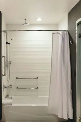 Oda, 1 En Büyük (King) Boy Yatak, Şehir Manzaralı (Mobility Accessible, Roll-In Shower)