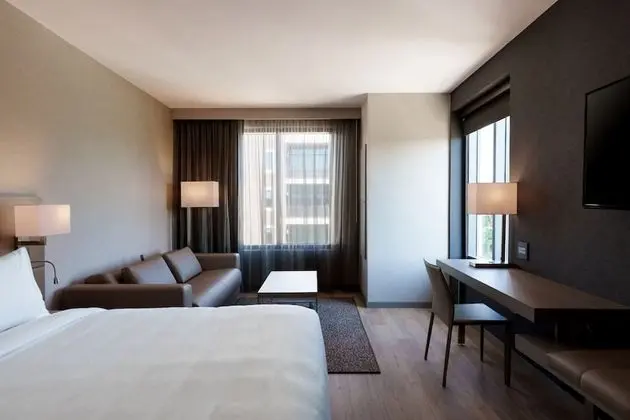 Executive Süit, 1 En Büyük (King) Boy Yatak ve Çekyat, Sigara İçilmez, Balkon