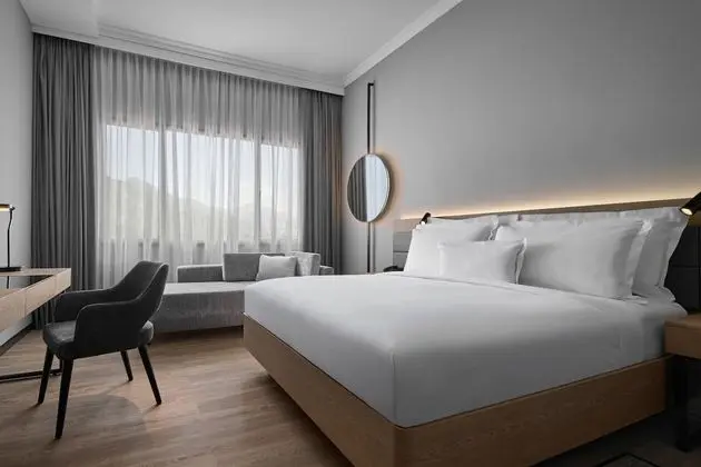 Premium Oda, 1 En Büyük (King) Boy Yatak ve Çekyat