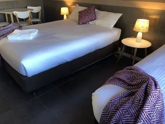 Premium Tek Kişilik Oda, Birden Çok Yatak, Sigara İçilmez