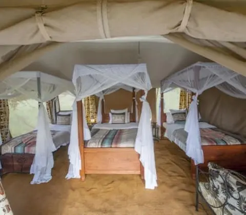 Luxury Çadır, 3 Tek Kişilik Yatak